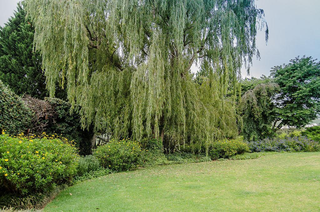 Glen Ormond Country House Henburg Park Екстериор снимка
