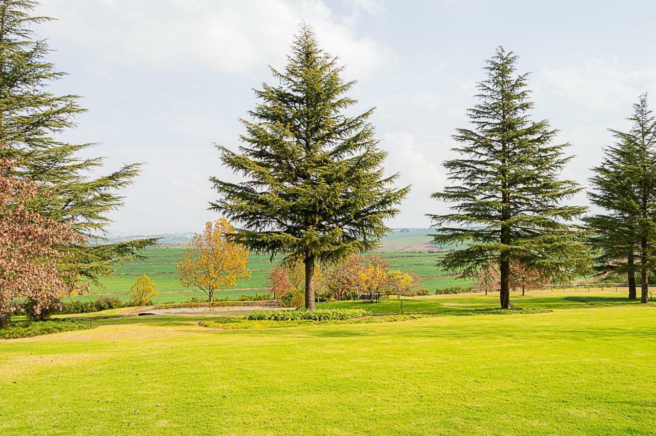 Glen Ormond Country House Henburg Park Екстериор снимка